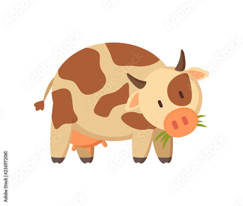 Spotted Cow Chewing Grass Farm or Ranch Animal