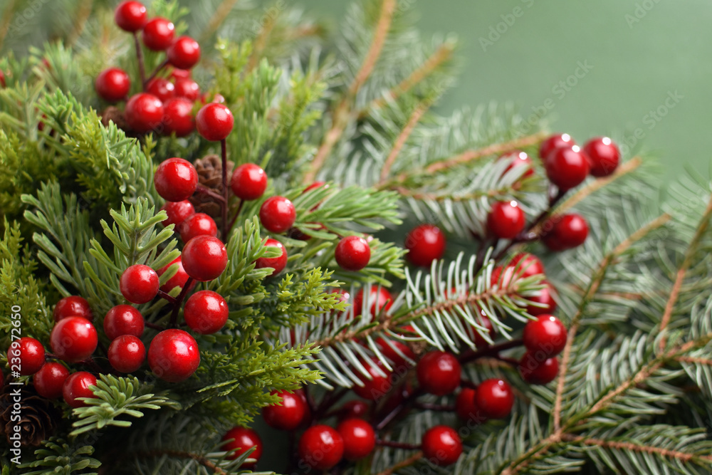 Close up of Christmas tree branches and holly Close up of Christmas tree branches and holly