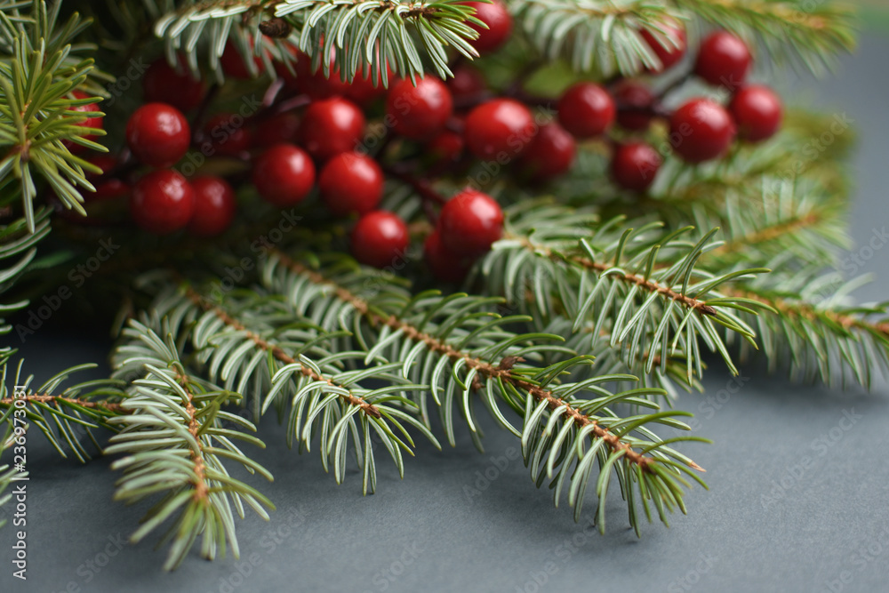 Close up of fir branches with blurred Christmas decoration of holly berry and pine tree