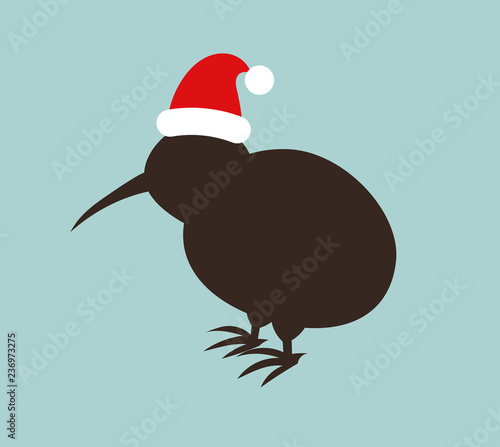 Kiwi bird in Santa hat.