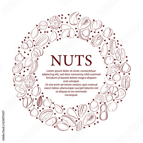 Nuts collection drawings. Sketches. Hand-drawing. Vector illustration. Elements for design.