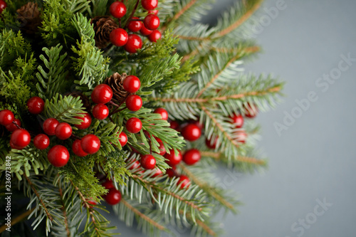 Holly berries and fir branches on grey blurred background