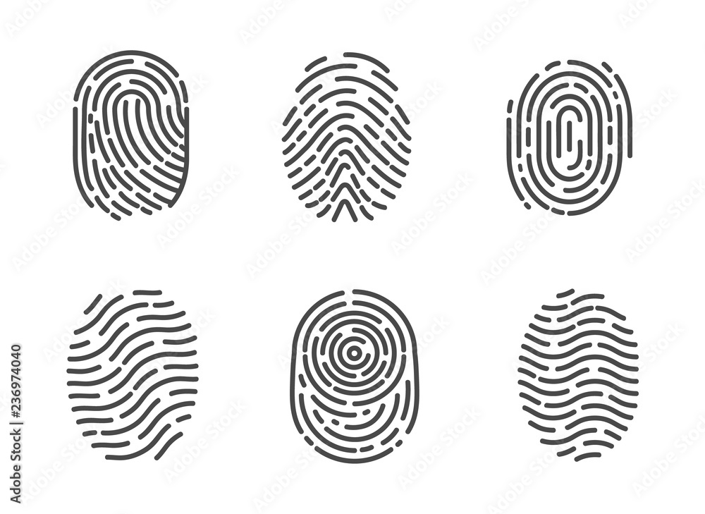 Identification Fingerprints Sketches Set Vector Identification Fingerprints Sketches Set Vector