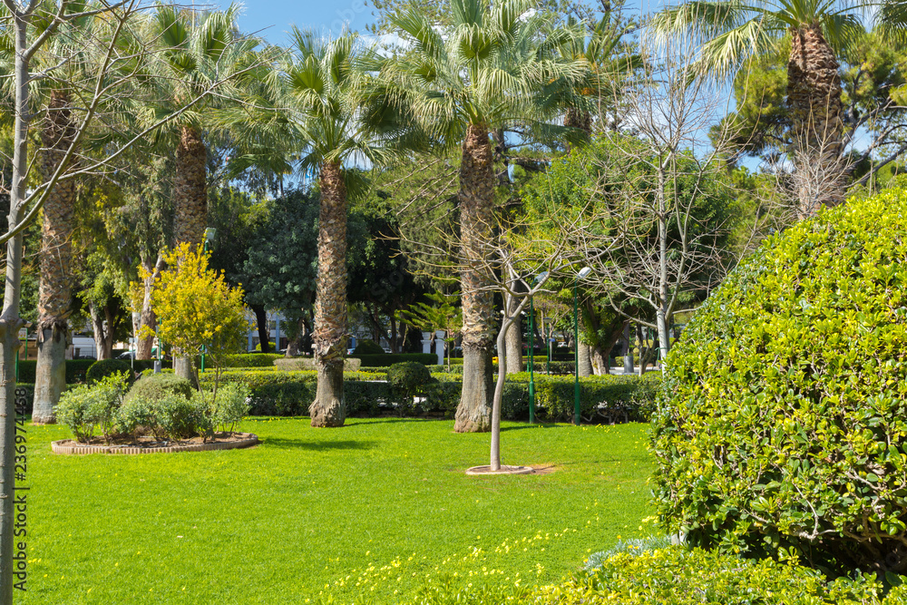 natural green trees and bushes background with path