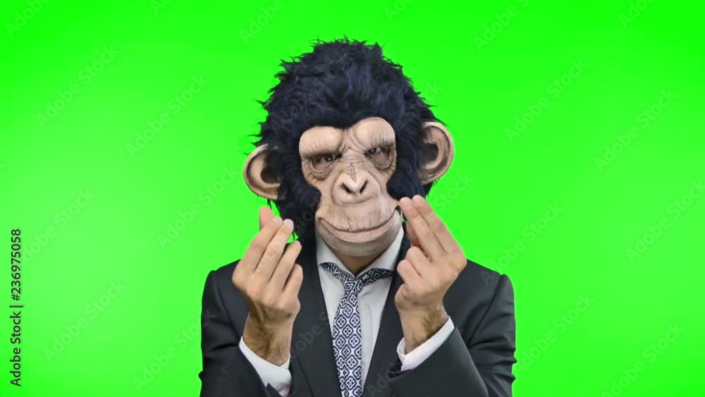 Monkey man on green screen chroma key background Monkey man on green screen chroma key background