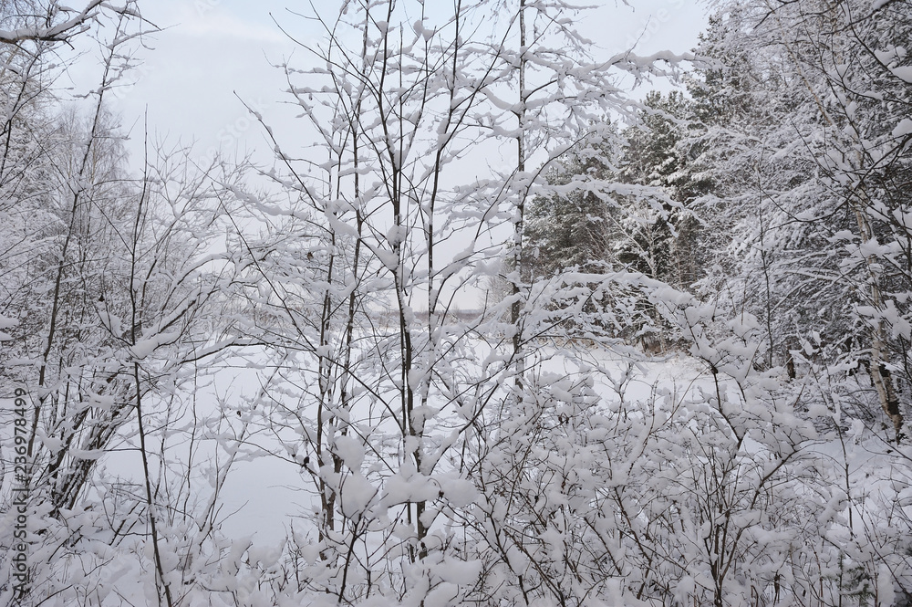 After the snowfall After the snowfall