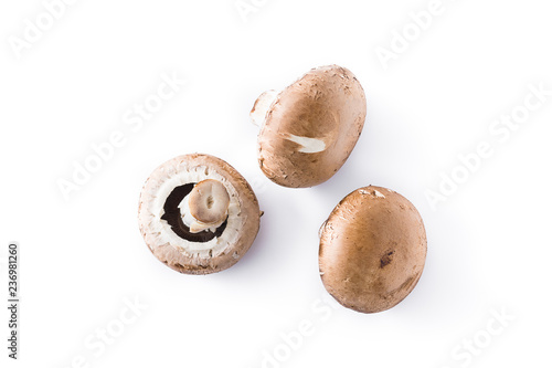 Mushrooms isolated on white background. Top view