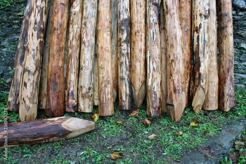 Tronchi di albero tagliati pali in legno