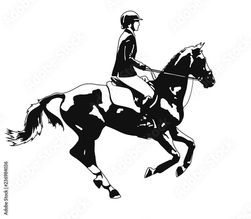 Horse cantering with a rider.