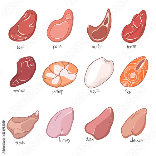 Meat of various animals: poultry, seafood, mammals. A set of twelve images: beef, pork, lamb, horsemeat, venison, shrimp, squid, fish, rabbit, turkey, duck, chicken.