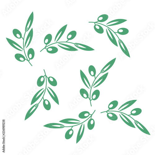Olive tree pattern. Vector olives background. Olive texture