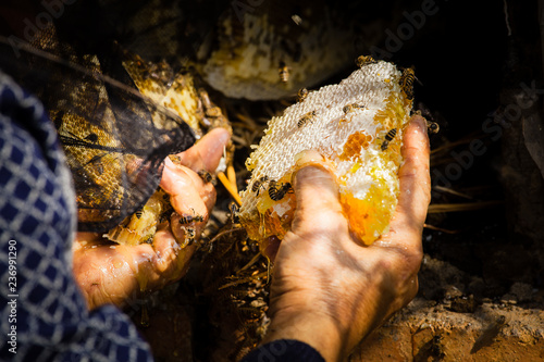 Honey harvesting in rural Sichuan China photo