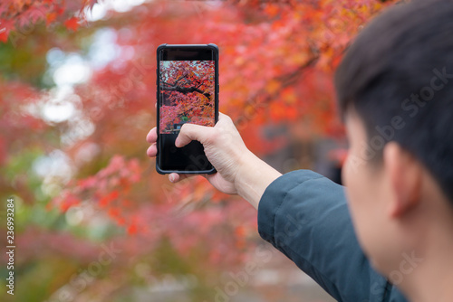 Autumn mood - Man is taking a photo on smartphone autumn maple leaves