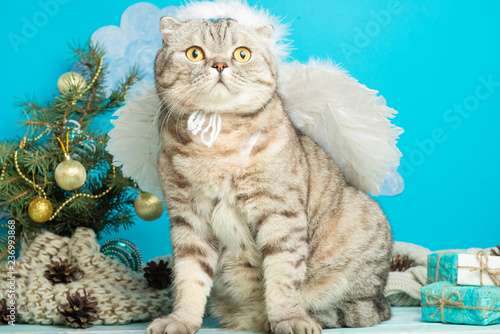 Christmas angel is a cute cat, with wings on the background of a decorated Christmas tree. New Year and Happy Christmas. photo