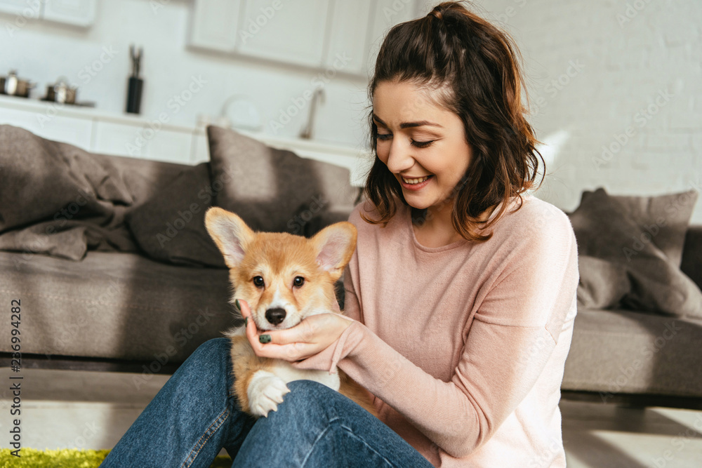 attractive smiling woman petting cute welsh corgi pembroke at home attractive smiling woman petting cute welsh corgi pembroke at home