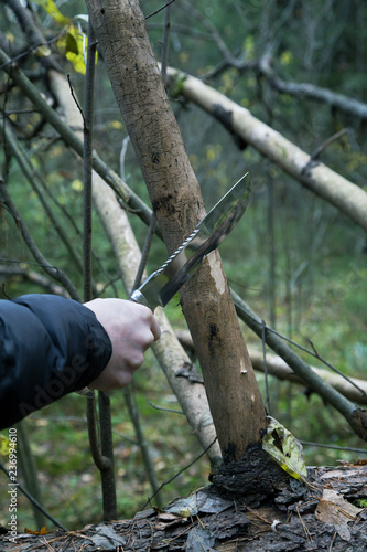 man's hand with a hunting knife cuts a tree branch