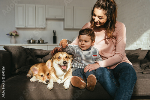 Photography child petting welsh corgi dog while his mother sitting near on sofa at home