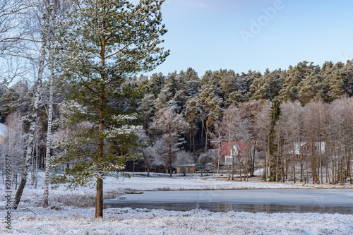 winter landscape with lake and forest