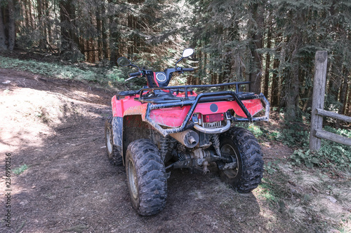quad bike off-road in the forest, close up, rear view