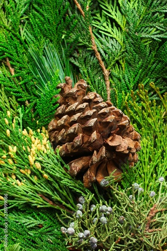 X-mas background with real Christmas fir leaves and pine cones, selective focus