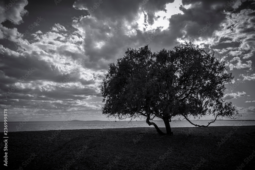 Obraz premium Peace in the silence of the depths
