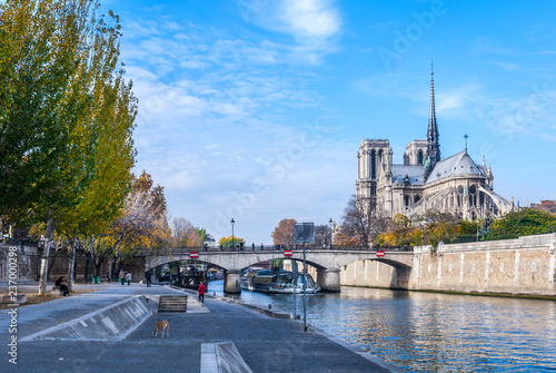 Fotografia Cathedral of Notre Dame de Paris sunny autumn afternoon