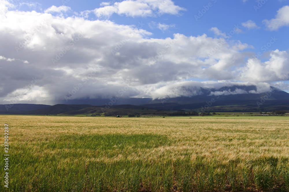 Wolken auf den Bergen auf dem Weg zum Kap Agulhas