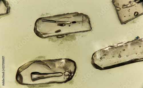 Zircon crystals on epoxy mount 50x
