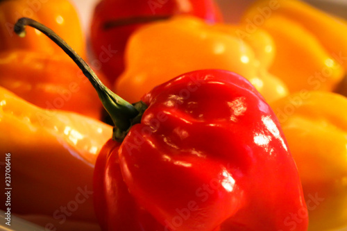 red sweet pepper