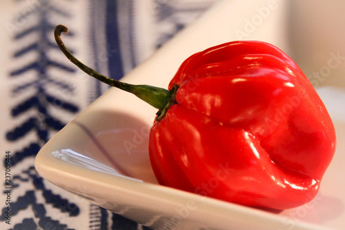 red hot chili peppers in a bowl