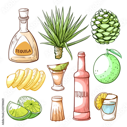 Tequila pub, mexican drink hand drawn set