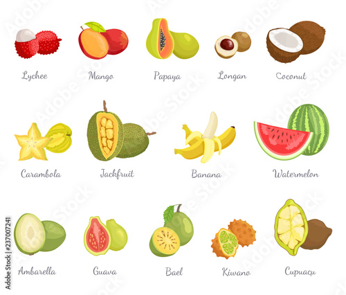 Lychee and Mango Coconut Banana Fruits Set Vector