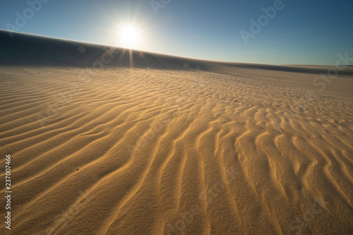 Dunes in national park in Poland