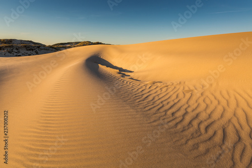 Dunes in national park in Poland