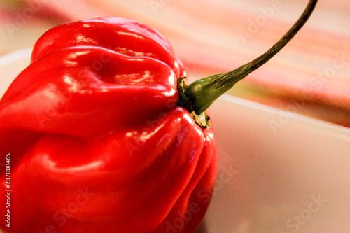 red hot chili pepper