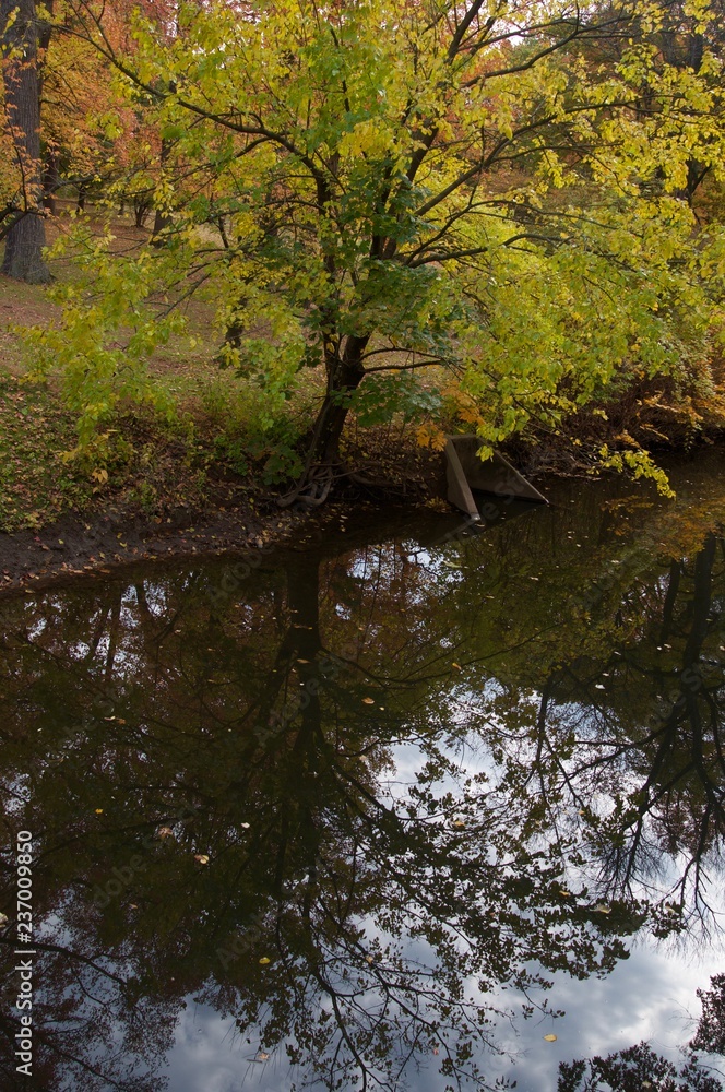 Fall Foliage River Creek Reflection 2