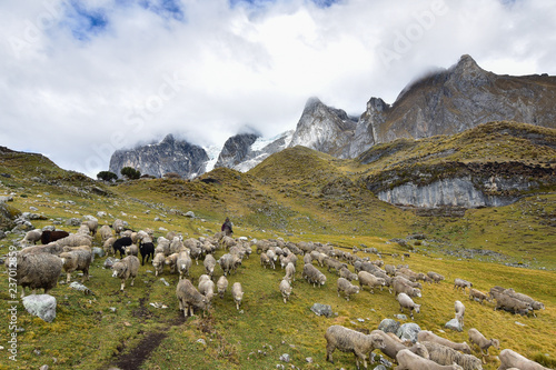Cordillera Huayhuash  Peru