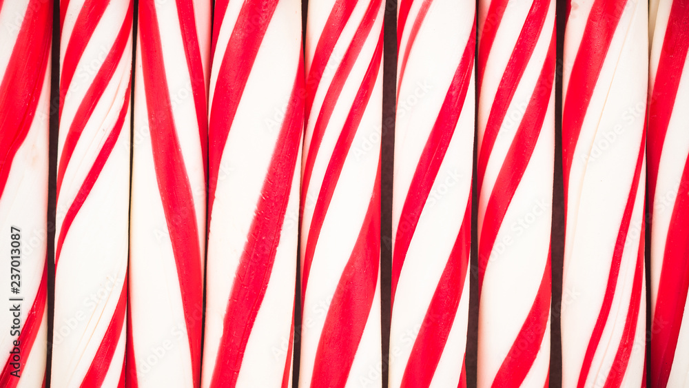 Fototapeta premium Peppermint candy cane,close up