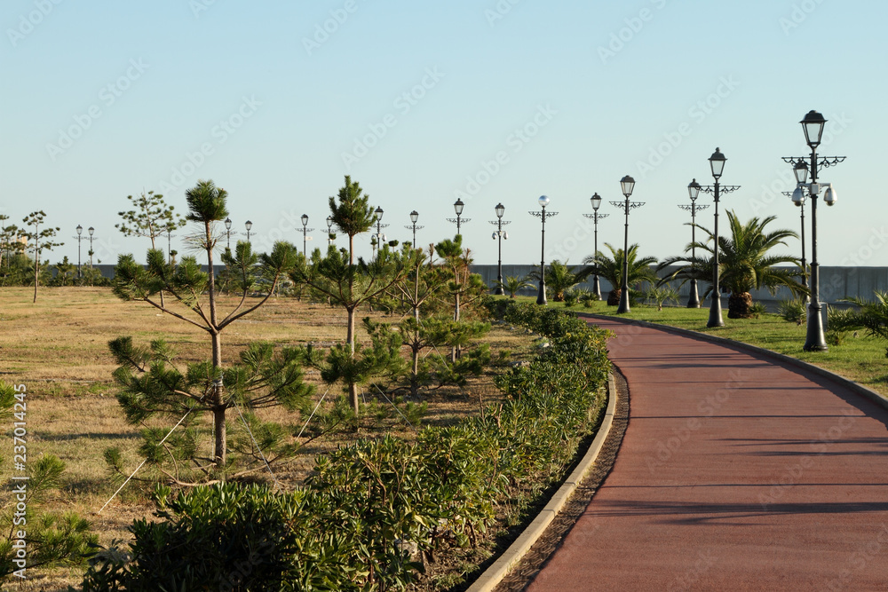 Bicycle path surrounded by tropical plants.