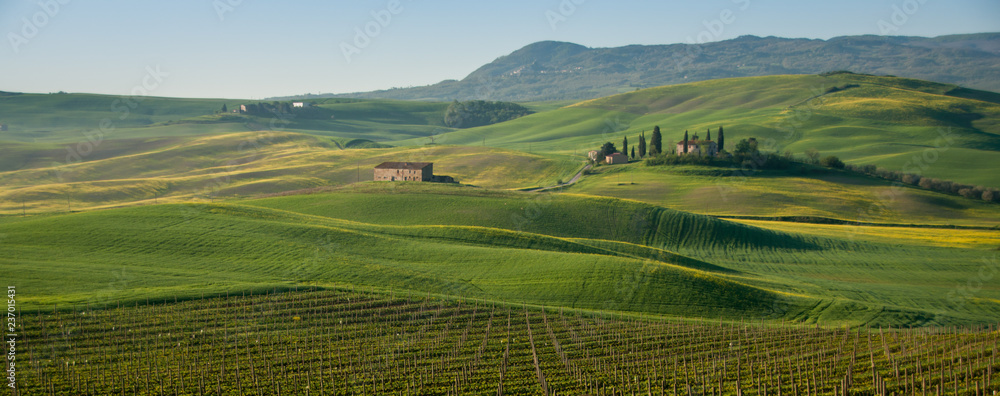 Vineyards, fields and hills of beautiful Tuscany on a sunny spring day. Scenic landscape!