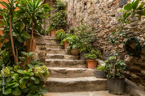 Stone stairs of narrow streets of Cinque Terre, Vernazza - Italy