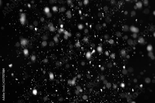 Snow flakes falling on black background. Winter weather photo