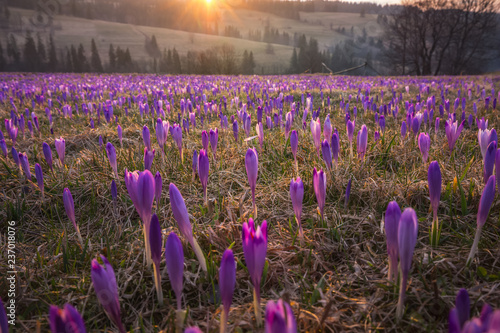 Spring in polish Tatra Mountains