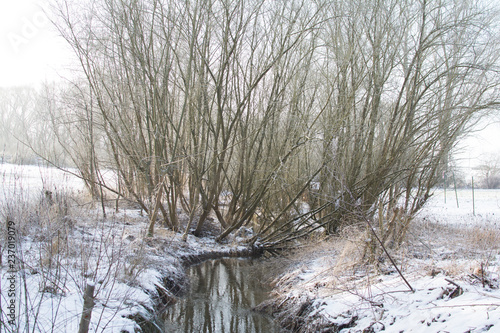 Photos winter6