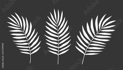 Set of Leaves. Vector. Silhouette