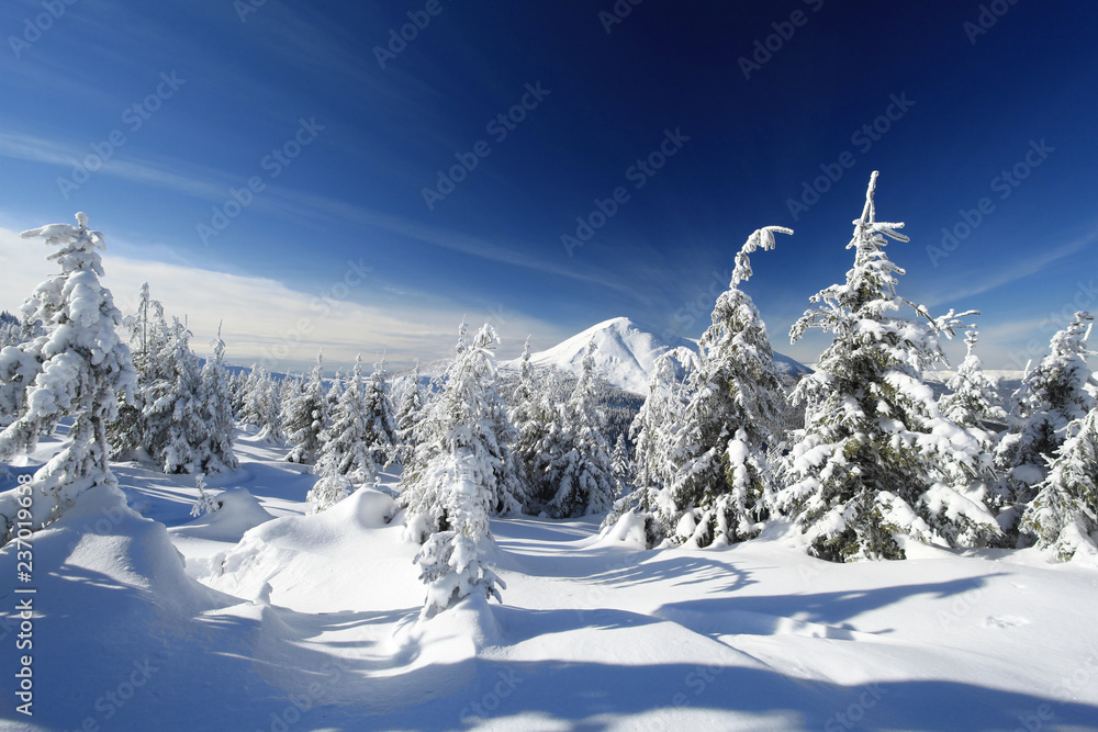 Snow on the trees. Winter, mountain landscape