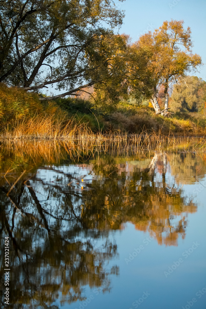 Autumn landscape with colorful trees and reflection in river. Autumn landscape with colorful trees and reflection in river.