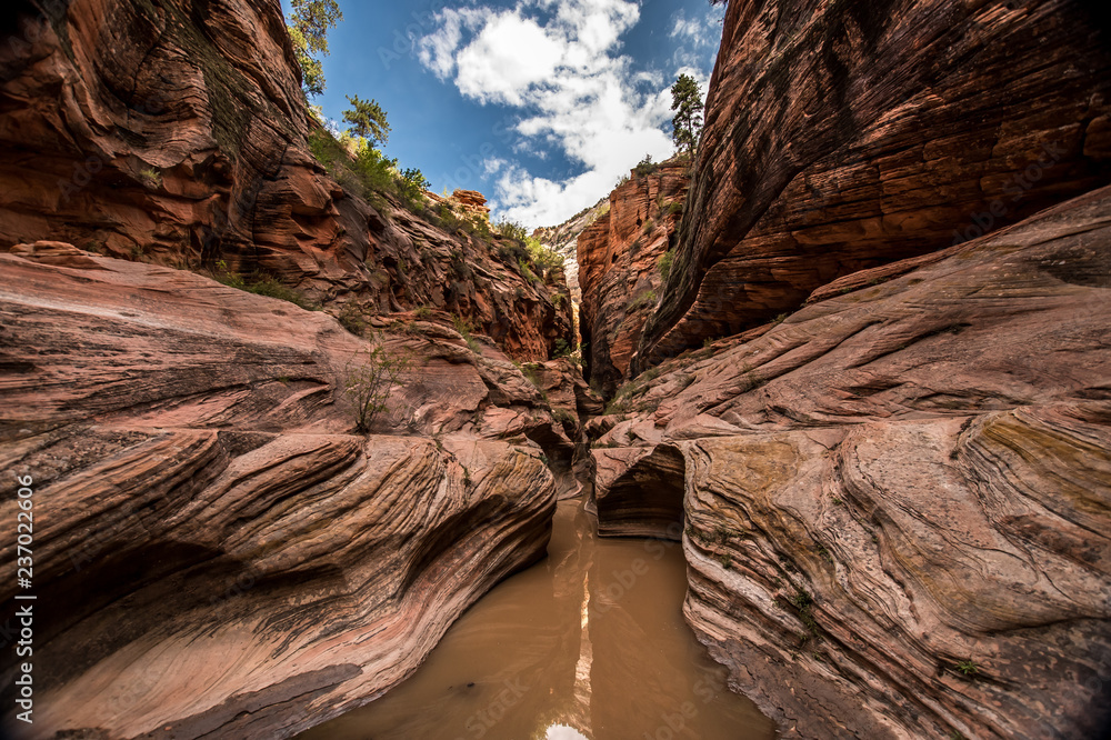 Ταπετσαρία Trail to the Observation Point (Zion Canyon)