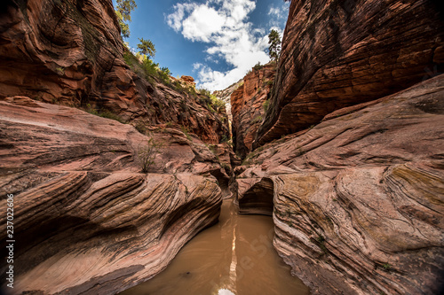 Trail to the Observation Point (Zion Canyon)