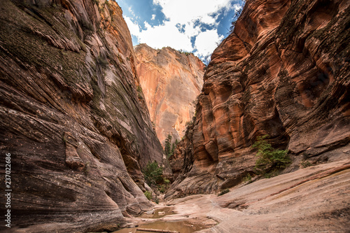 Trail to the Observation Point (Zion Canyon)